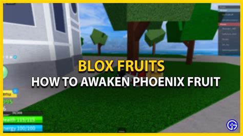 Blox Fruits Phoenix Fruit Awakening Guide - Gamer Tweak