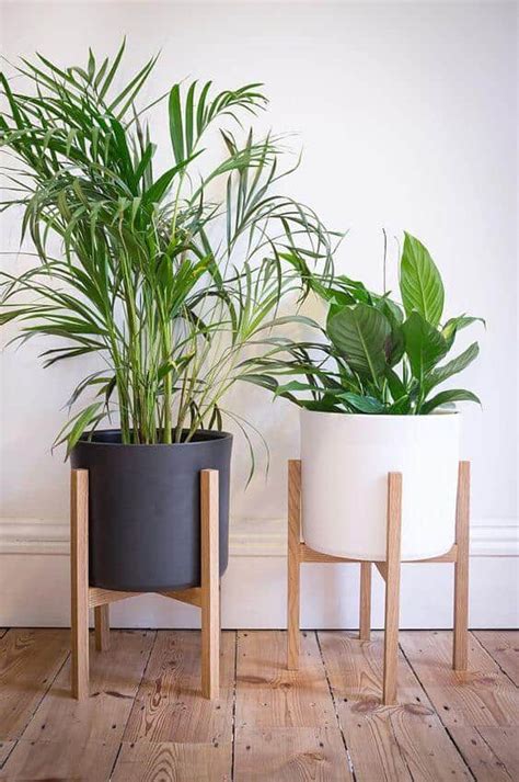 32 Office Plants You’ll Want To Adopt