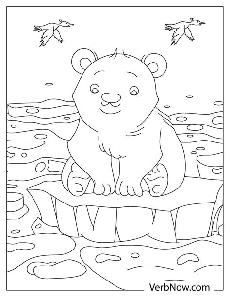 Free POLAR BEAR Coloring Pages & Book for Download (Printable PDF ...