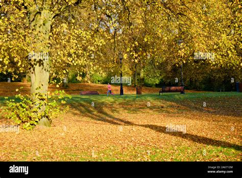 Autumn scene in Stormont Estate, Belfast Stock Photo - Alamy