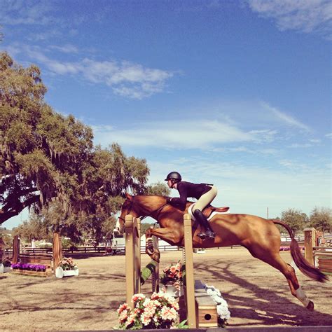 HITS in Ocala. Photo Credit: Kelsey Bryant, Peterson & Smith Equine ...