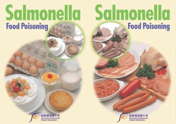 Disease and Treatment - Salmonella: The Disease Causing Agent