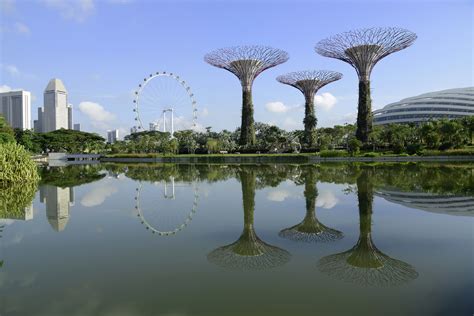 Gardens by the Bay - Supertrees (6) | Marina Bay | Geography im Austria-Forum