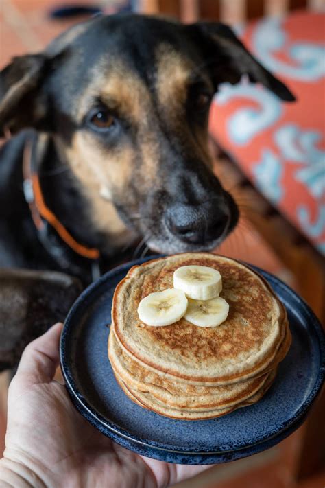 Grain Free Pancakes for Dogs