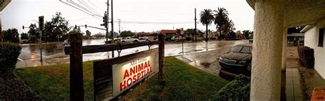 Alta Loma's crazy weather this past week. #altalomaanimalhospital # ...