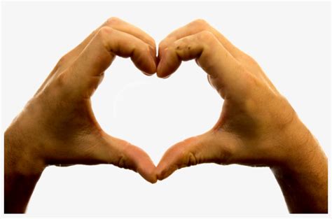 Hand Heart Png - Heart Sign With Hands Png Transparent PNG - 980x600 - Free Download on NicePNG