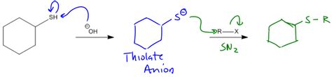 Thiol Reactions - Organic Chemistry Video | Clutch Prep