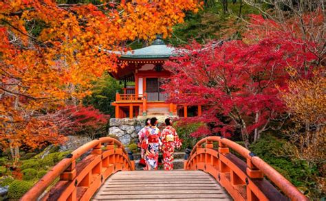 Kyoto in Autumn: The Best Spots for Foliage Season - Bookaway