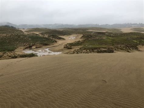 The fascinating sand dunes of Tottori