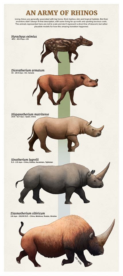 An Army of Rhinos by Julio Lacerda | Prehistoric animals, Prehistoric ...