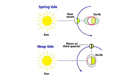 Types of tides and their difference - ScienceQuery