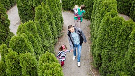 Family friendly Speke Hall | Liverpool | National Trust