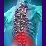 Lower Back Pain Exercises - Back Pain