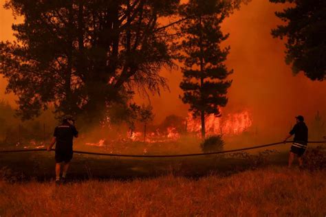 Wildfires burning in Chile are among the many many deadliest in nation’s doc - The Nation Times