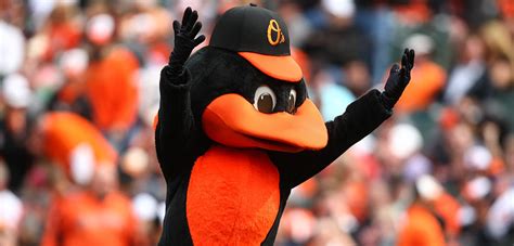 The Oriole Bird - Baltimore Orioles - SportMascots.com