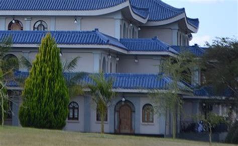 Zimbabwe: Zanu-PF Owns Blue Roof, Bona Mugabe's Residence - allAfrica.com