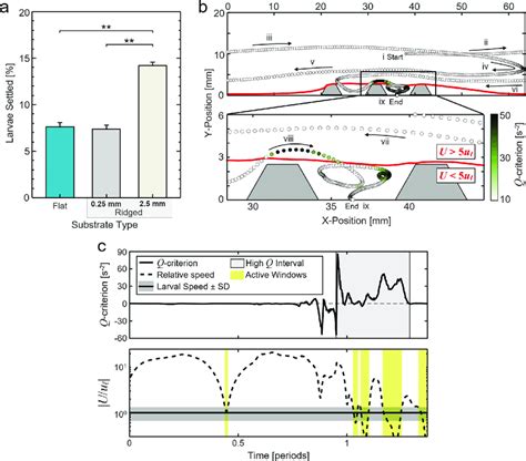 Millimeter-scale ridges modify the boundary layer flow to facilitate... | Download Scientific ...