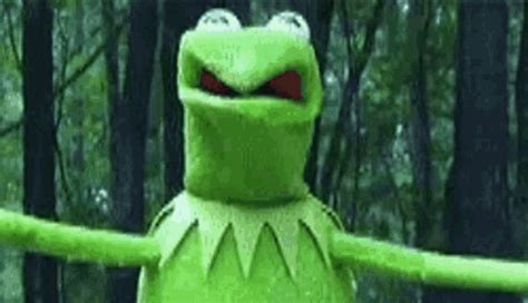 Weird Kermit GIF - Weird Kermit Funny As Hell - Discover & Share GIFs