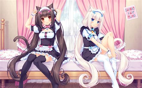 Free download | HD wallpaper: Anime, Nekopara, Chocola (Nekopara), Vanilla (Nekopara ...