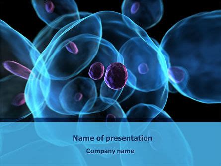 Stem Cells PowerPoint Template, Backgrounds | 08249 | PoweredTemplate.com