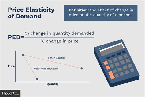 Elasticity Of Demand Equation Calculator - Tessshebaylo