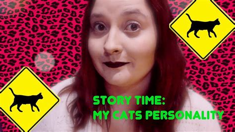 STORY TIME: My Cats Personality - YouTube