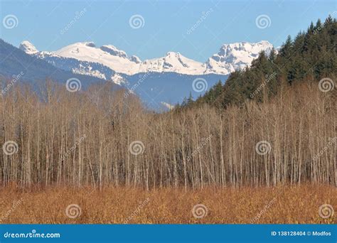 British Columbia Mountain Range In Winter Stock Photo - Image of ...