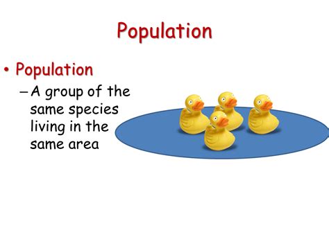 Ecology - Presentation Biology