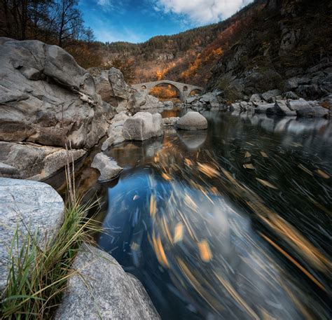 Devil's bridge leaves | Smithsonian Photo Contest | Smithsonian Magazine