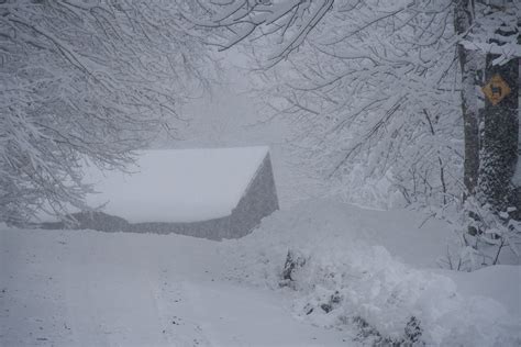 New England Snow New England Snow - Living with Gotlands