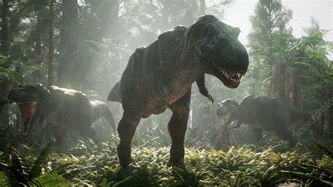 Tyrannosaurus rex herd hunting, illustration - Stock Image - C050/6588 - Science Photo Library