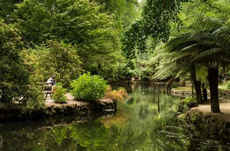 12 Things To Do In The Dandenong Ranges That Aren’t Eating Scones ...