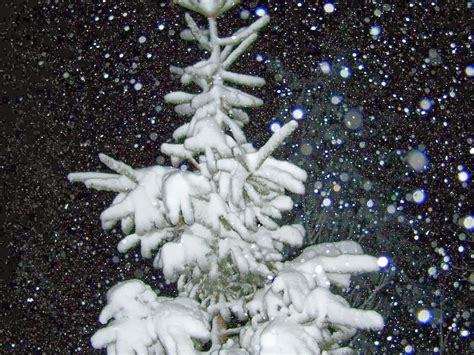 Snowy Night Background - HD Wallpapers Blog