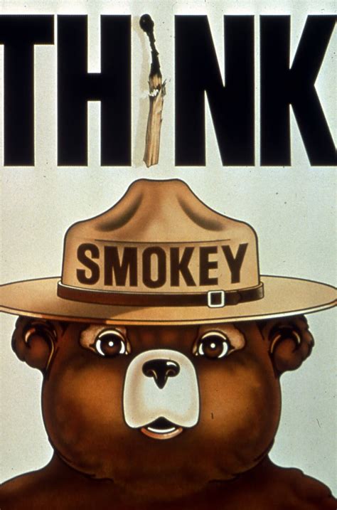 SMOKEY BEAR POSTER | 24 x 36 INCH | THINK - Posters & Prints