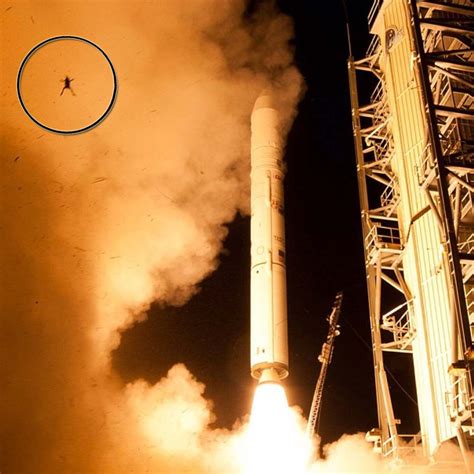 FROGS IN SPAAAAACE! The launch of a rocket carrying NASA's newest moon probe sent a frog flying ...