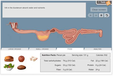 Gizmos help students explore the science of health with online biology lab simulations