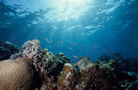 Scientists Release First Plan for National Ocean Exploration Program ...