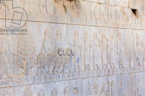 Image of Bas reliefs at the walls of Apadana palace and staircase, by Persian School, (6th ...