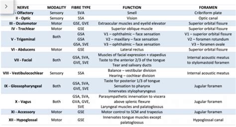 Cranial Nerve Testing Chart