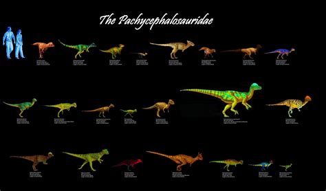 Family Pachycephalosauridae: 22 Genera | Megafauna, Jurassic world, Prehistoric