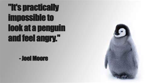 Funny Penguin Quotes. QuotesGram