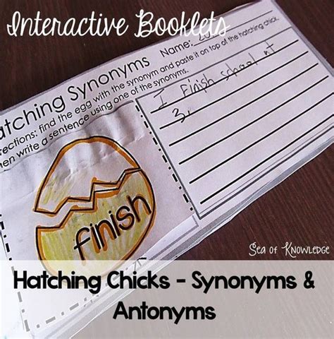 Synonyms & Antonyms Fun with Chicks! - Sea of Knowledge | Synonyms and ...