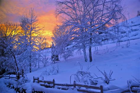 wallpaper winter, snow, sunset, fence, sky, trees HD : Widescreen : High Definition : Fullscreen