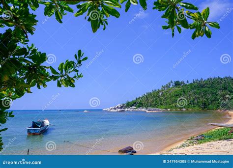 Natuna Island stock image. Image of cape, jungle, tourist - 247954305