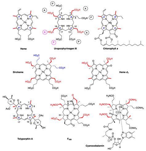 Molecules | Free Full-Text | Tolyporphins–Exotic Tetrapyrrole Pigments ...