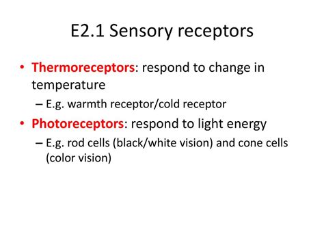 E2 Perception of Stimuli - ppt download