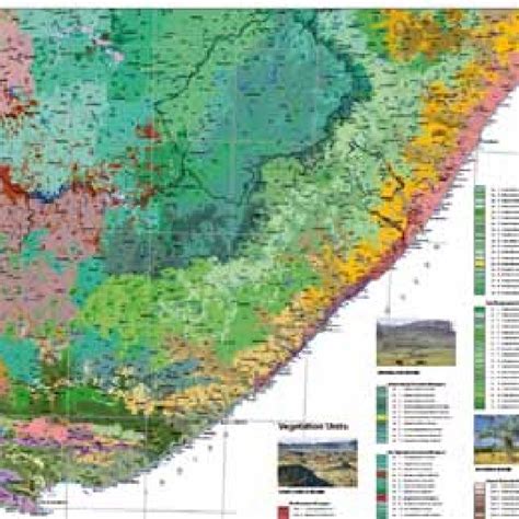 -An example of vegetation types from part of the Eastern Cape. The ...