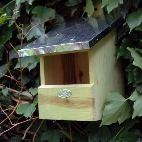 Robin Nesting Box | Nistkasten, Vogelhaus ideen, Nistkästen