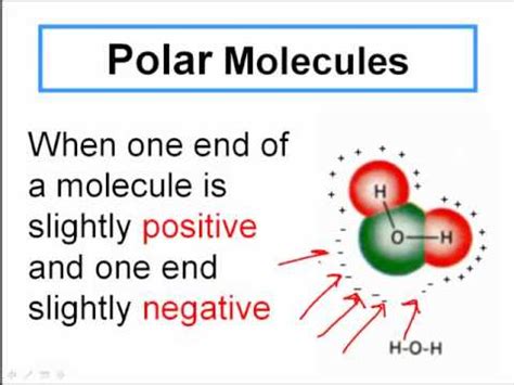 Polar and Non-Polar Covalent Molecules - YouTube