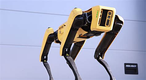 New Autonomous Robotics Lab will get robots into our everyday lives - Services - Danish ...